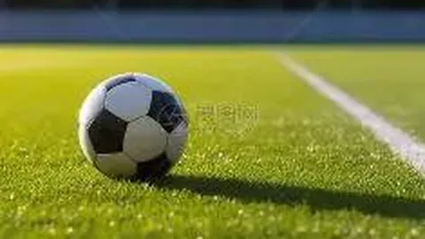 波黑对决格鲁吉亚预测：努尔基奇与比塔泽巅峰对决，谁能赢得晋级机会？