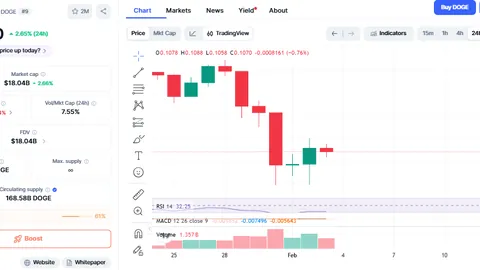2025女排世俱杯将驻绍兴，朱婷有望再次登台