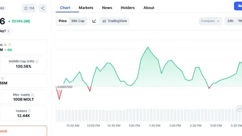 AGM Group引领区块链芯片新纪元：2500万美元配股融资，共筑数字货币未来！