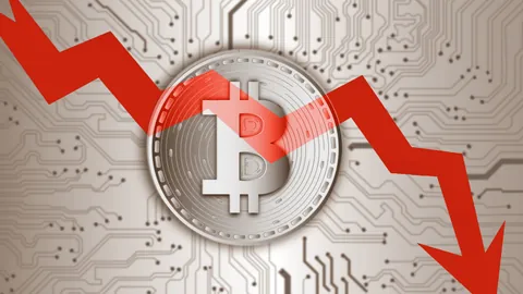 Aave创始人揭秘：投票权在握，Aave治理合法合规，币圈热议不断！